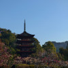 P1280917