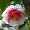 P1290875