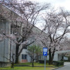 P1310432