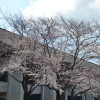P1310434