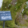 P1310439