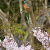 P1330124