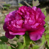 P1580014