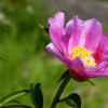 P1580334