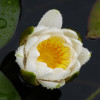 P1580586