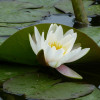 P1580626