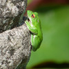 P1340593