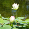 P1580904