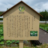 P1590156