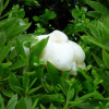 P1340183