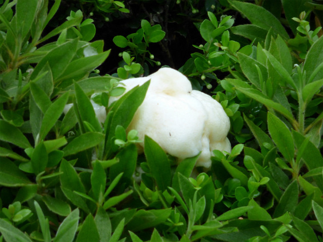 P1340183