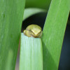 P1350254