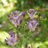 P1610268