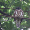 P1400389