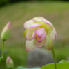 P1630974